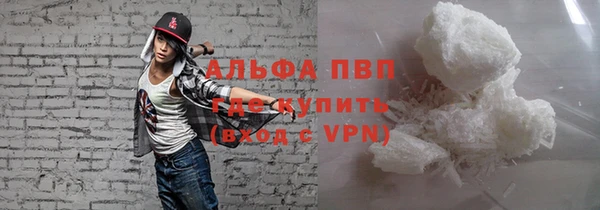 прущие грибы Арсеньев
