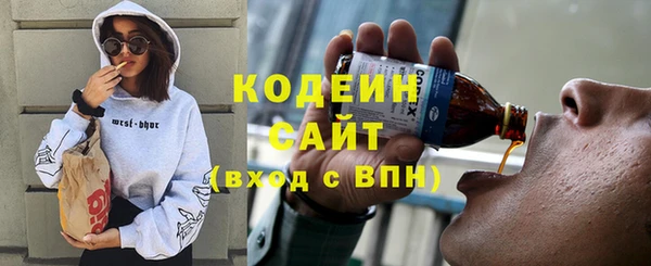 ECSTASY Алзамай
